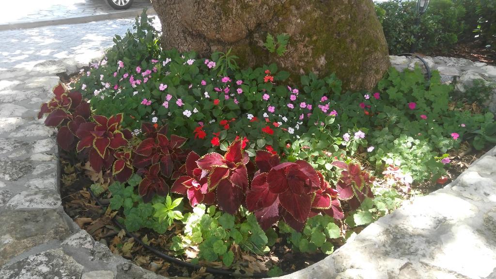 Chavkova House Melnik (Blagoevgrad) Esterno foto