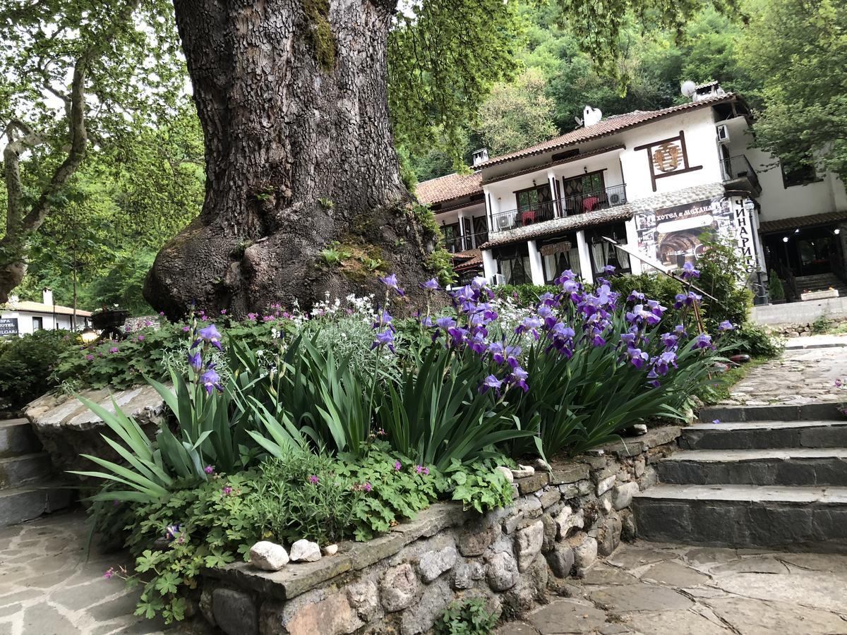 Chavkova House Melnik (Blagoevgrad) Esterno foto